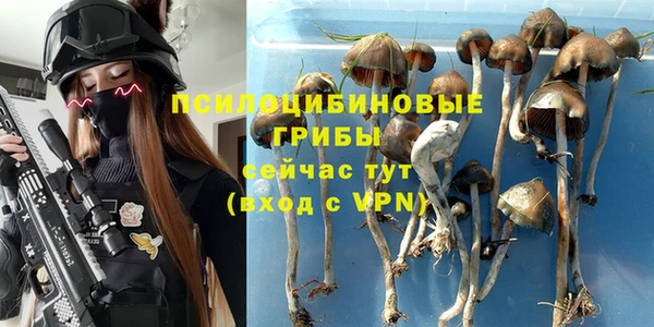 ALPHA PVP Вязьма