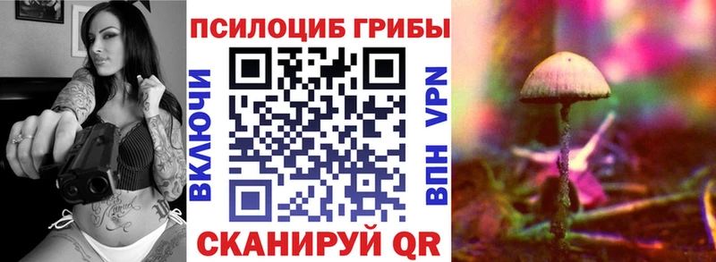 дарнет шоп  Заозёрск  Галлюциногенные грибы Cubensis 